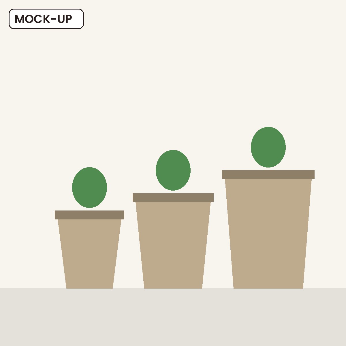 Ceramic Plant Pots (set of 3)